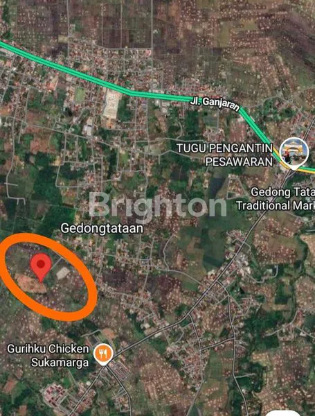 image TANAH LUAS 4.635 M² DI GEDONG TATAAN, LOKASI STRATEGIS (1)