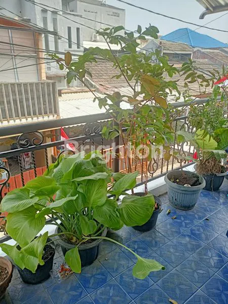 image DIJUAL CEPAT RUMAH 2 LANTAI BSD ~ JL MAGNOLLA SEKTOR 1-2  (6)