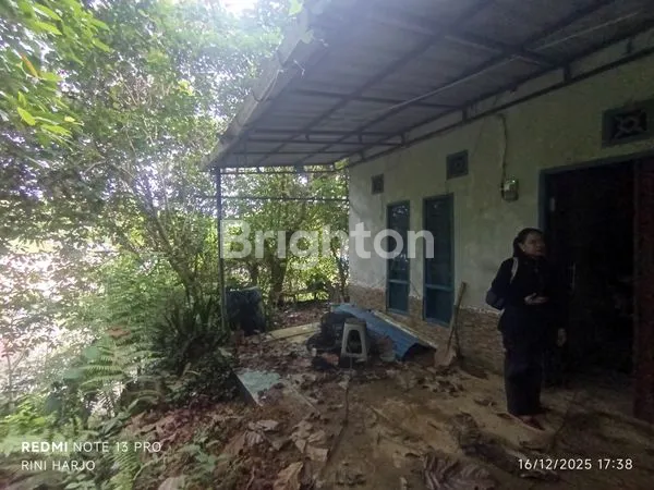 image RUMAH STRATEGIS DI JALAN SURYANATA, LT 200M² (4)