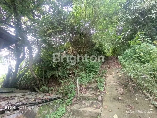 image RUMAH STRATEGIS DI JALAN SURYANATA, LT 200M² (2)