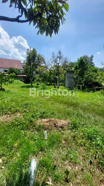 image DIJUAL GUDANG + RUMAH WALET\\NJALAN RAYA MOJOAGUNG – LOKASI STRATEGIS\\N (7)