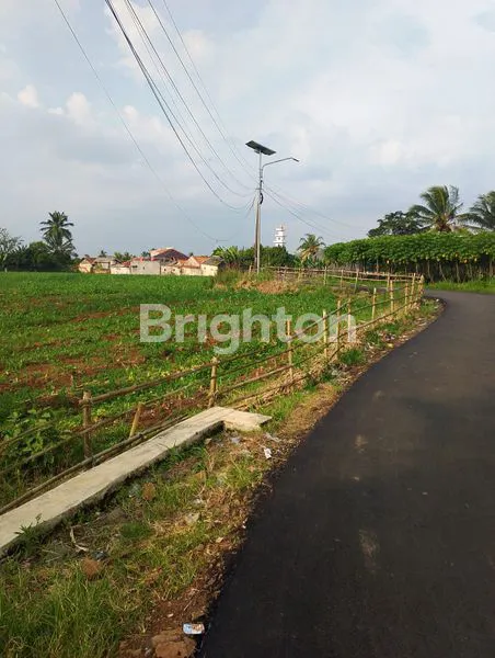 image TANAH DESA SITU UDIK KEC CIBUNG BULANG KAB BOGOR LT 8380/RP 400.000 NEGO (3)