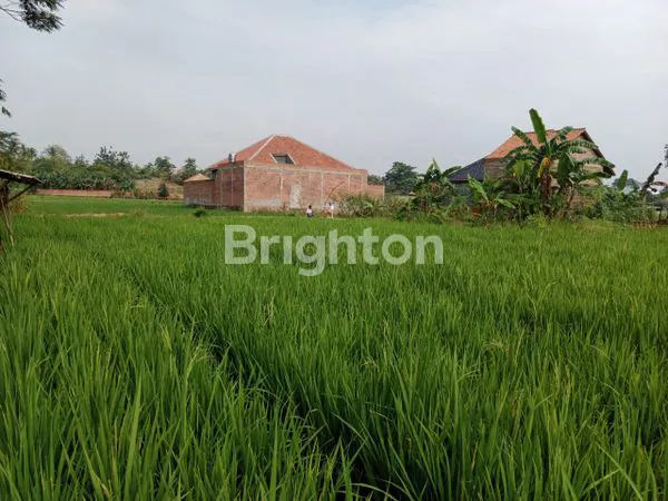 image TANAH DENGAN HARGA MENARIK DI LINGSU RAJABASA BANDAR LAMPUNG (1)