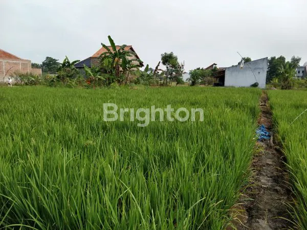 image TANAH DENGAN HARGA MENARIK DI LINGSU RAJABASA BANDAR LAMPUNG (2)