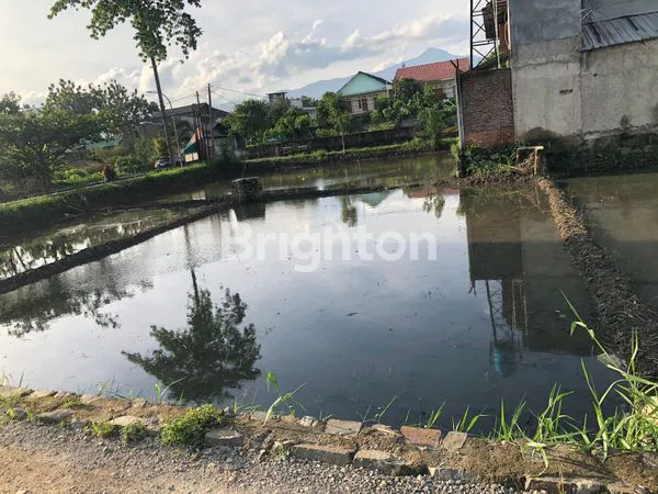 image TANAH LUAS 245M² SHM DI PANYILEUKAN BANDUNG (5)