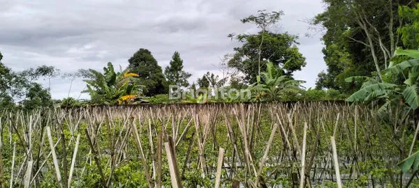 image DIJUAL TANAH DI MEGAMENDUNG BOGOR (1)