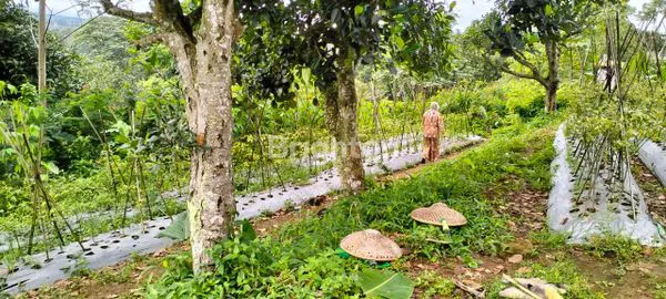 image DIJUAL TANAH DI MEGAMENDUNG BOGOR (2)