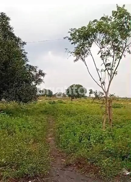 TANAH DI KRANGKENG INDRAMAYU