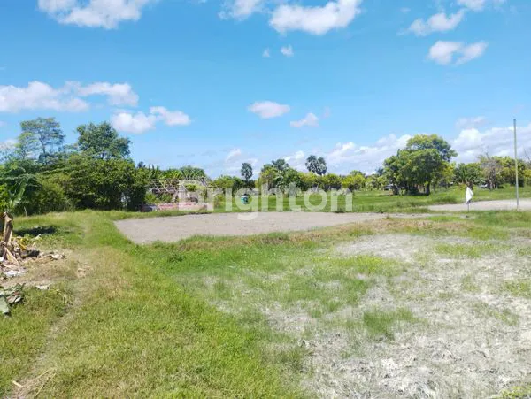 image TANAH LUAS 8.260M² DI KUPANG, HANYA 350RB/M² (4)