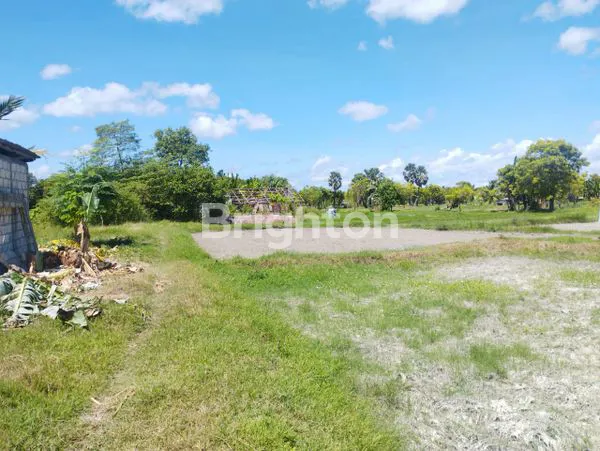 image TANAH LUAS 8.260M² DI KUPANG, HANYA 350RB/M² (3)