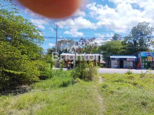 image TANAH LUAS 8.260M² DI KUPANG, HANYA 350RB/M² (1)