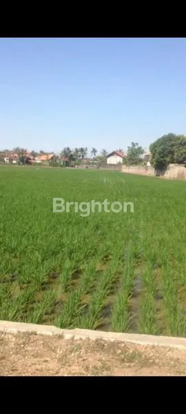 image TANAH STRATEGIS DI PATIMBAN SUBANG (5)