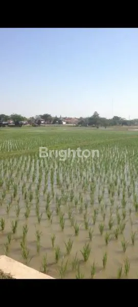 image TANAH STRATEGIS DI PATIMBAN SUBANG (6)