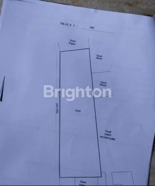 image TANAH STRATEGIS DI PATIMBAN SUBANG (7)