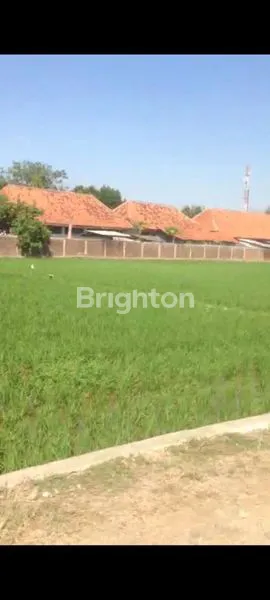 image TANAH STRATEGIS DI PATIMBAN SUBANG (3)