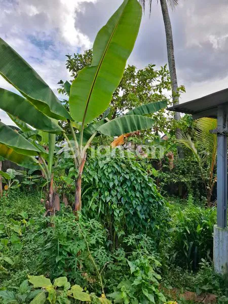 image LOKASI STRATEGIS KAWASAN PADAT PENDUDUK (5)