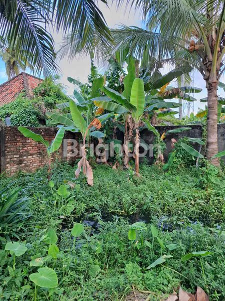 image LOKASI STRATEGIS KAWASAN PADAT PENDUDUK (6)