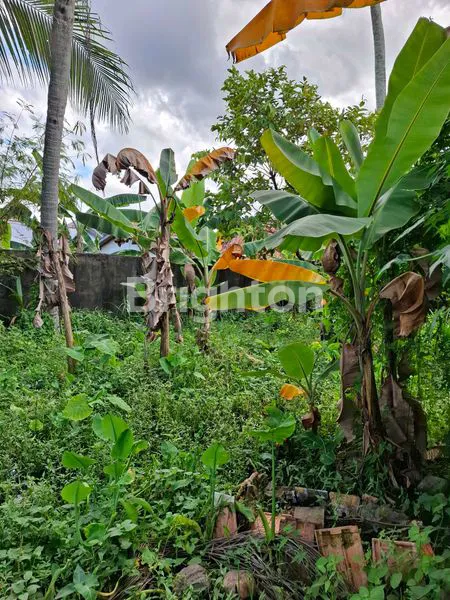 image LOKASI STRATEGIS KAWASAN PADAT PENDUDUK (7)