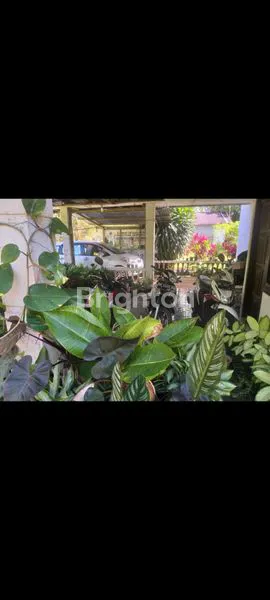 image JUAL TANAH DIMALINO (4)