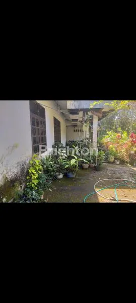 image JUAL TANAH DIMALINO (3)