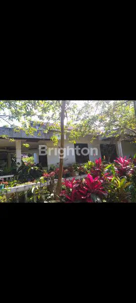 image JUAL TANAH DIMALINO (5)