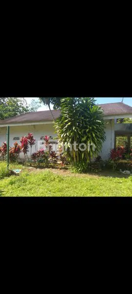 image JUAL TANAH DIMALINO (2)