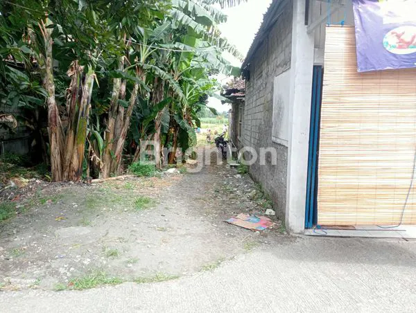 image DIJUAL TANAH SAWAH ZONA KUNING DI TEGALTIRTO  BERBAH (3)