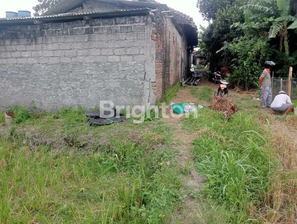 image DIJUAL TANAH SAWAH ZONA KUNING DI TEGALTIRTO  BERBAH (6)