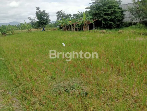 image DIJUAL TANAH SAWAH ZONA KUNING DI TEGALTIRTO  BERBAH (5)