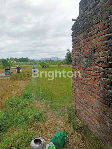 image DIJUAL TANAH SAWAH ZONA KUNING DI TEGALTIRTO  BERBAH (4)