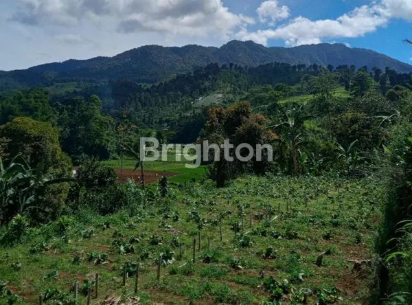 image TANAH LUAS 4.000M² DI CIKALONG WETAN, SHM (1)