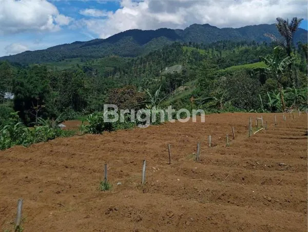 image TANAH LUAS 4.000M² DI CIKALONG WETAN, SHM (2)