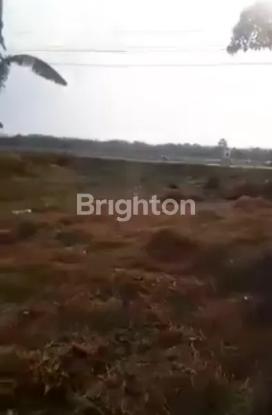 image TANAH LUAS 2.550M² DI PEKALONGAN, COCOK UNTUK USAHA (3)