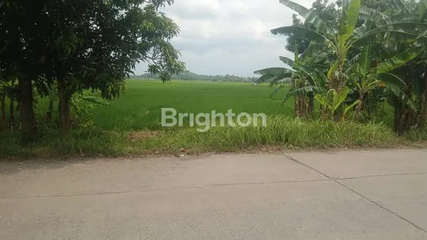 image TANAH LUAS 2.550M² DI PEKALONGAN, COCOK UNTUK USAHA (2)