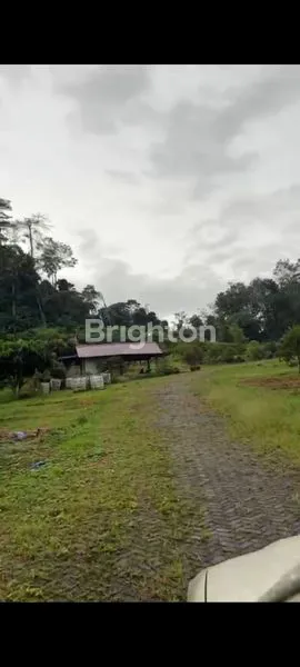 image LAHAN SIAP BANGUN 3,5 HA, SHM, DI JALAN SEMBAHE (5)