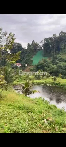image LAHAN SIAP BANGUN 3,5 HA, SHM, DI JALAN SEMBAHE (8)