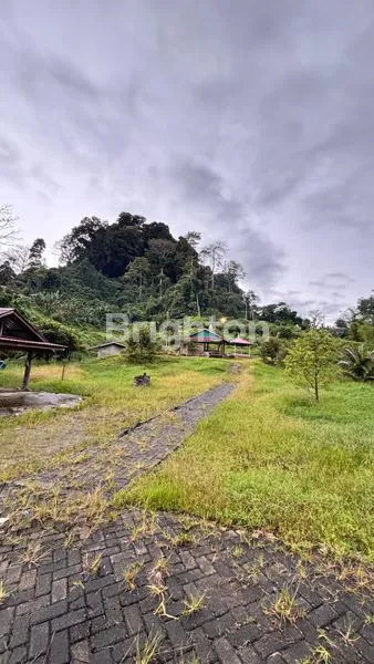 image LAHAN SIAP BANGUN 3,5 HA, SHM, DI JALAN SEMBAHE (1)