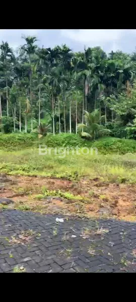 image LAHAN SIAP BANGUN 3,5 HA, SHM, DI JALAN SEMBAHE (7)