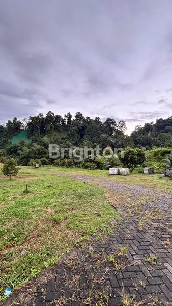 image LAHAN SIAP BANGUN 3,5 HA, SHM, DI JALAN SEMBAHE (3)