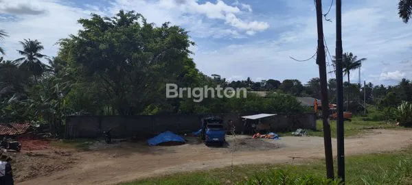 image TANAH STRATEGIS DI JL. PAHLAWAN, 5 HEKTAR, HARGA NEGO (5)