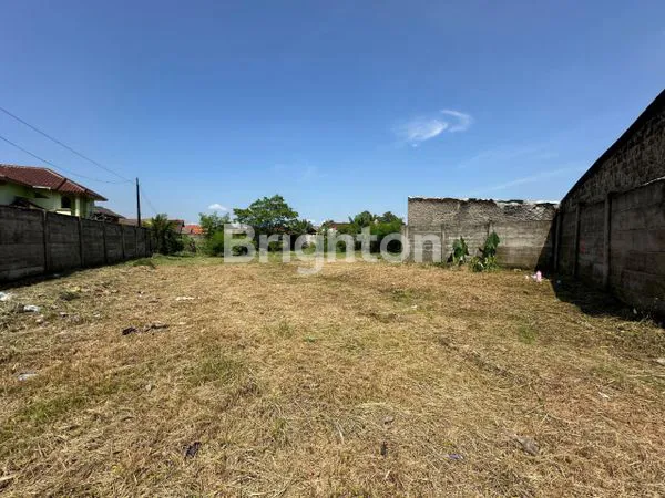 image TANAH LUAS 1500M² DI GUNUNG SINDUR, AKSES STRATEGIS (2)