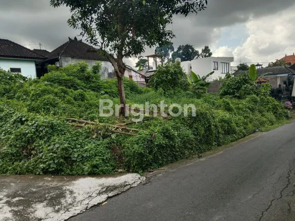 image ZONA  YELLOW 3 ARE PERERENAN (1)