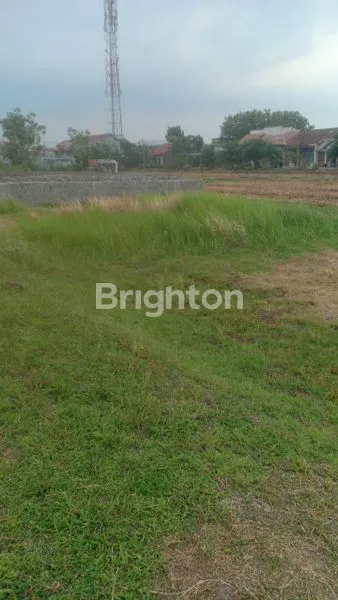 image TANAH KAVLING TEGAL JAWA TENGAH (3)