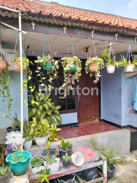 image RUMAH DIJUAL MURAH (3)