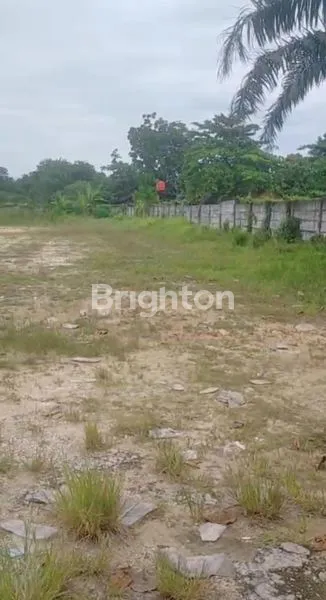 image TANAH PREMIUM 5000 M ARENGKA 2  (4)