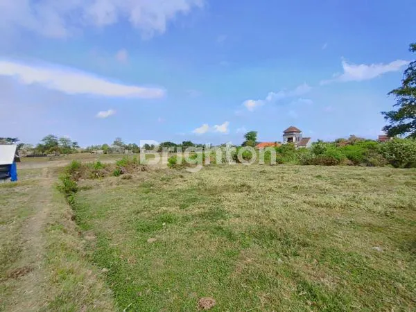 image TANAH KAVLING STRATEGIS DI JL. IB MANTRA, GIANYAR (2)