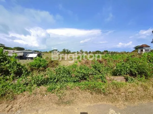 image TANAH KAVLING STRATEGIS DI JL. IB MANTRA, GIANYAR (3)