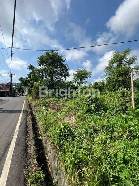 image TANAH LUAS 260M² DI KAMPIAL NUSA DUA, SHM (5)