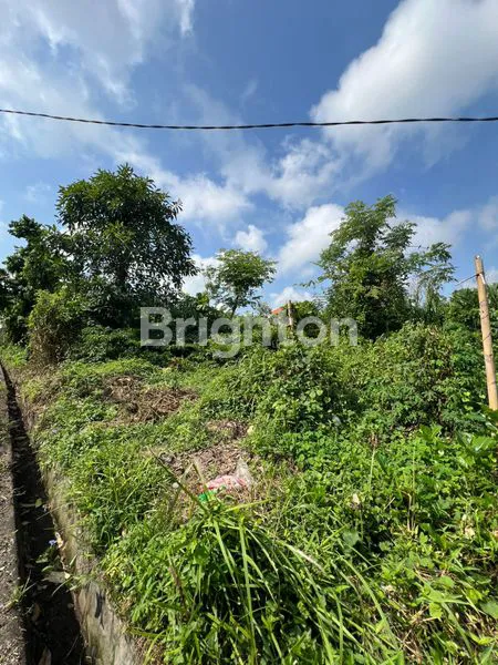 image TANAH LUAS 260M² DI KAMPIAL NUSA DUA, SHM (1)