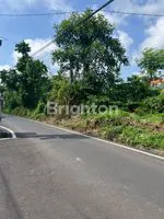 IMG 20251218 WA00591